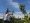 Iuvenes Fructus bolest vocki 3