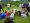 Offline prosle godine 2