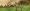 58444231 1503509276451434 3955070623645958144 o