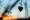 shutterstock 366025583 1024x678