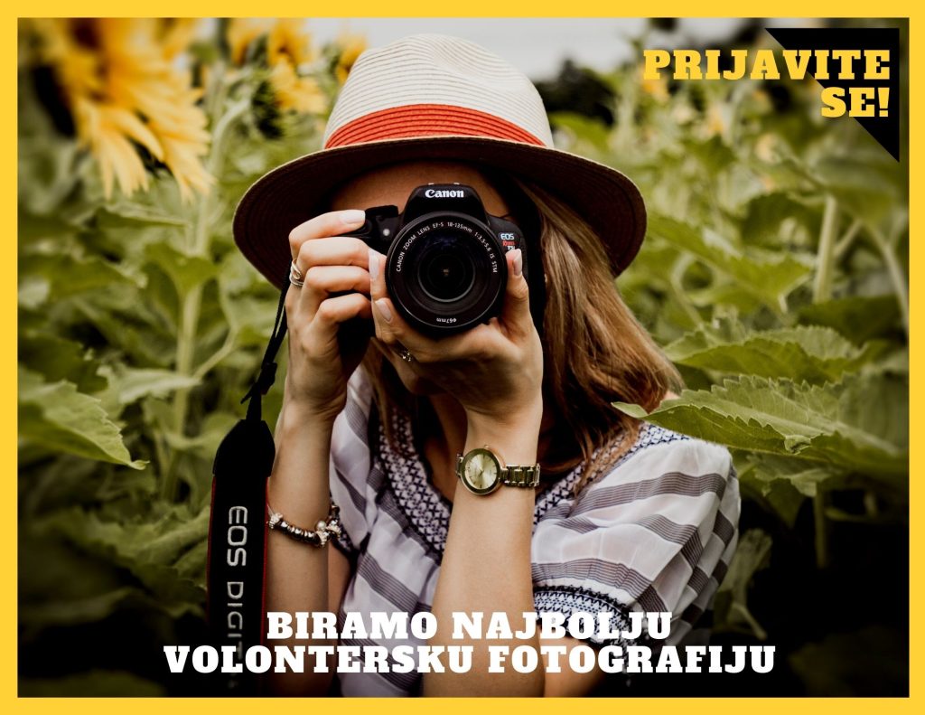 Yellow Bordered Photo Photography Trifold Brochure 5