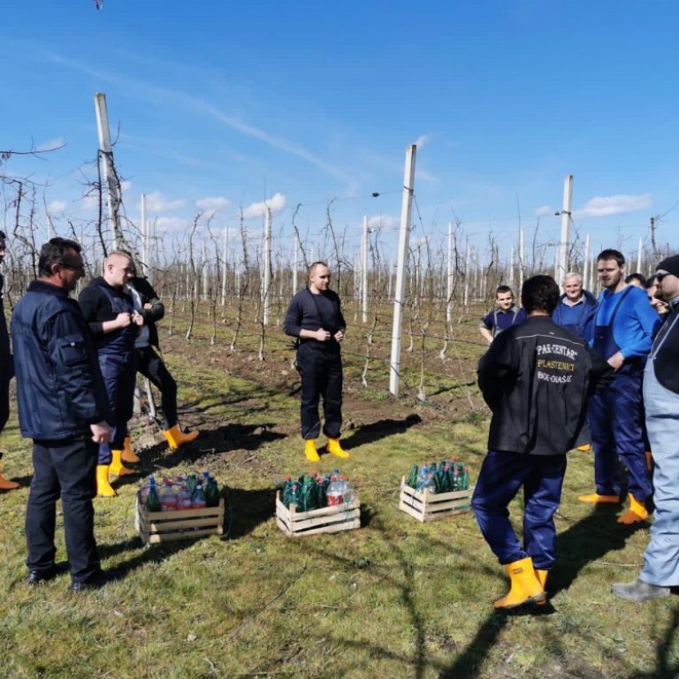 160904747_299777274909627_3758824838381892083_n