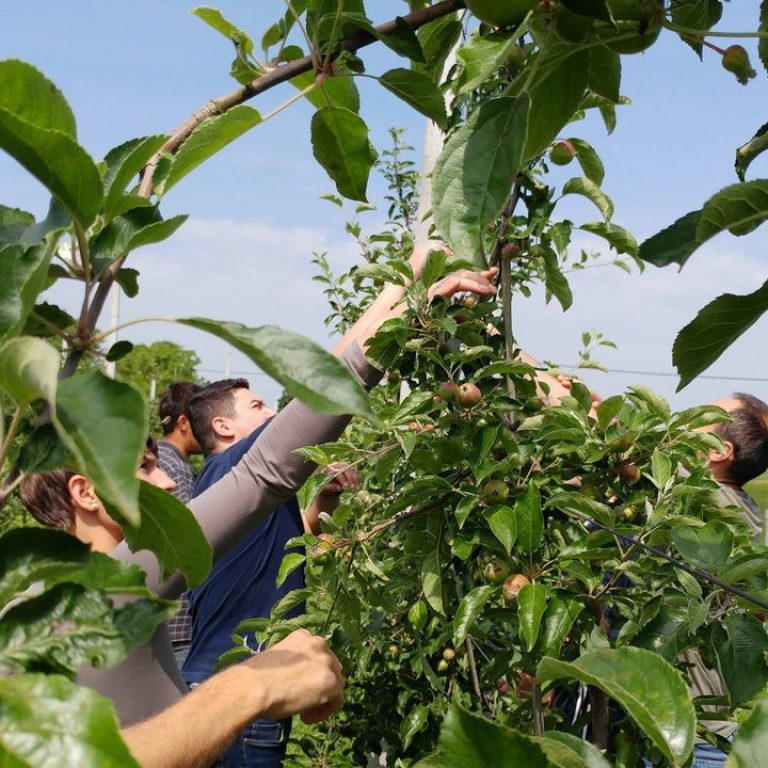 18620586 218197575352191 1182797691339161922 o