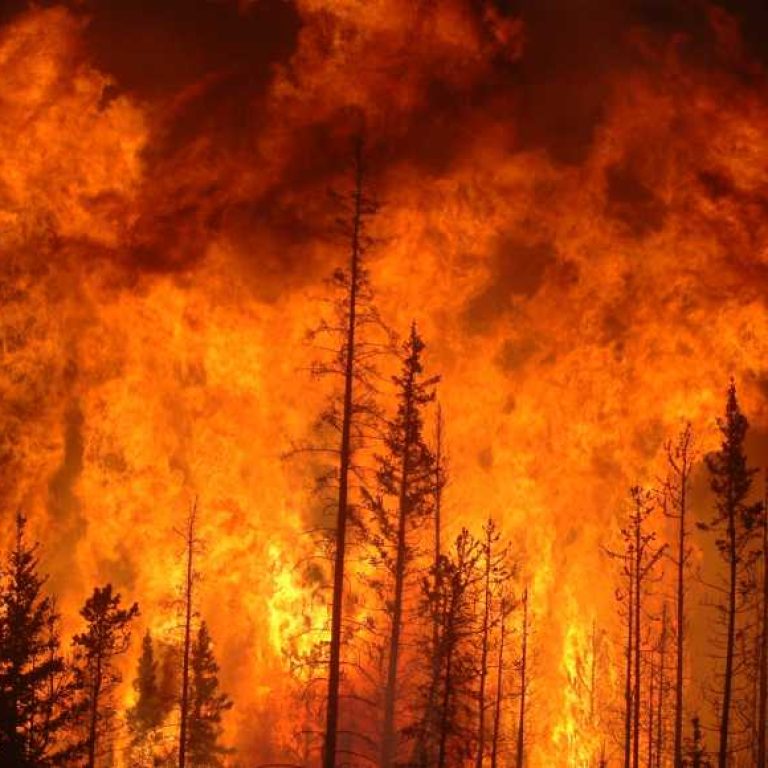 29.11.18. pożar 1021x580