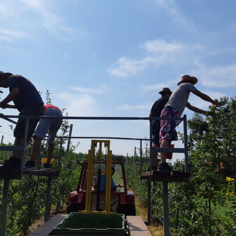 64946501 2530159570350119 876528221531668480 n