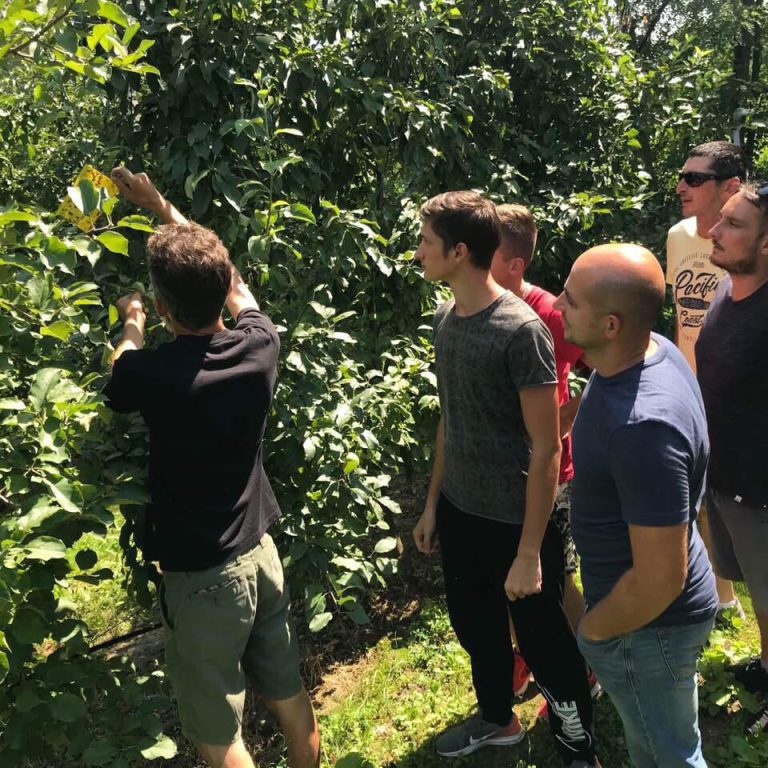 67091371 901133046921050 6411646545199890432 n