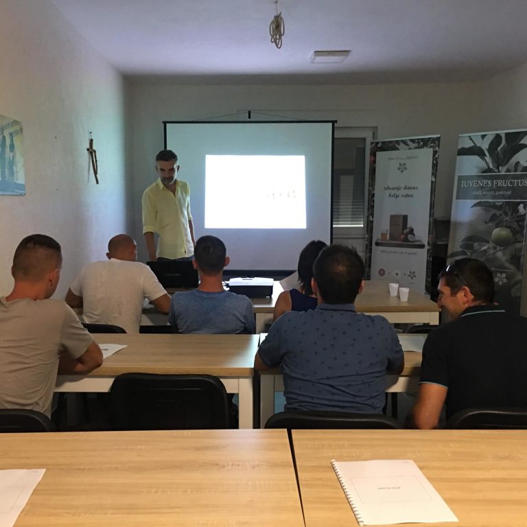 69904239 620092745061210 3546028018663161856 n