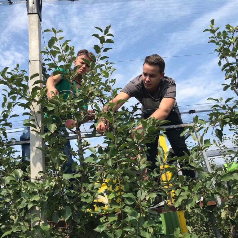 70618751 644091702747838 3451895181782024192 n