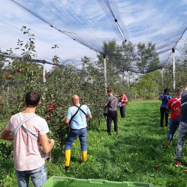 71805824 2428493613935214 2287102456288509952 n