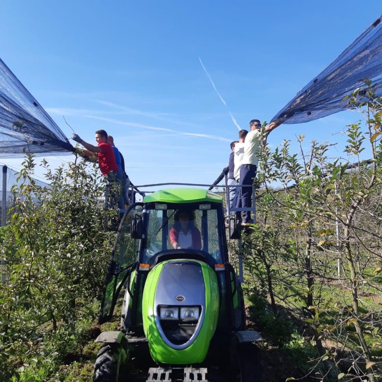 74692572 450741618878757 5788171195383808000 n