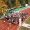 DJI_0005.00_00_12_21.Still001
