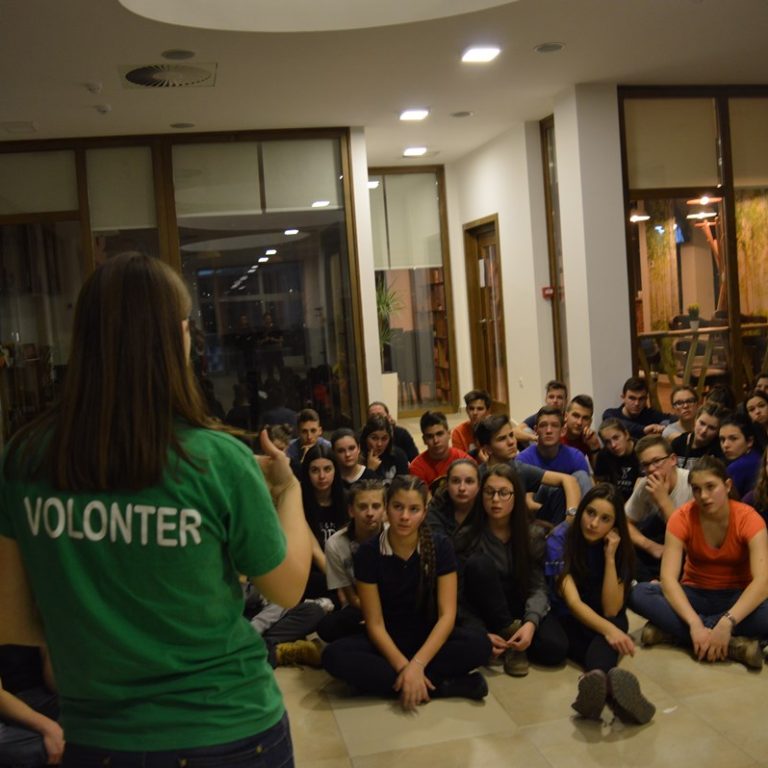 Formacija animatora 1