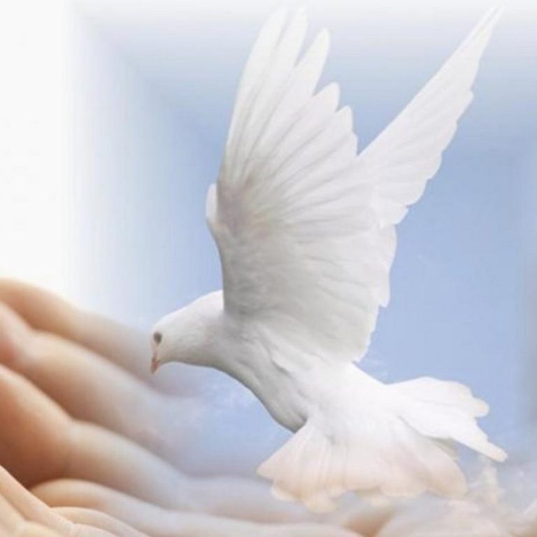 HolySpiritDove4