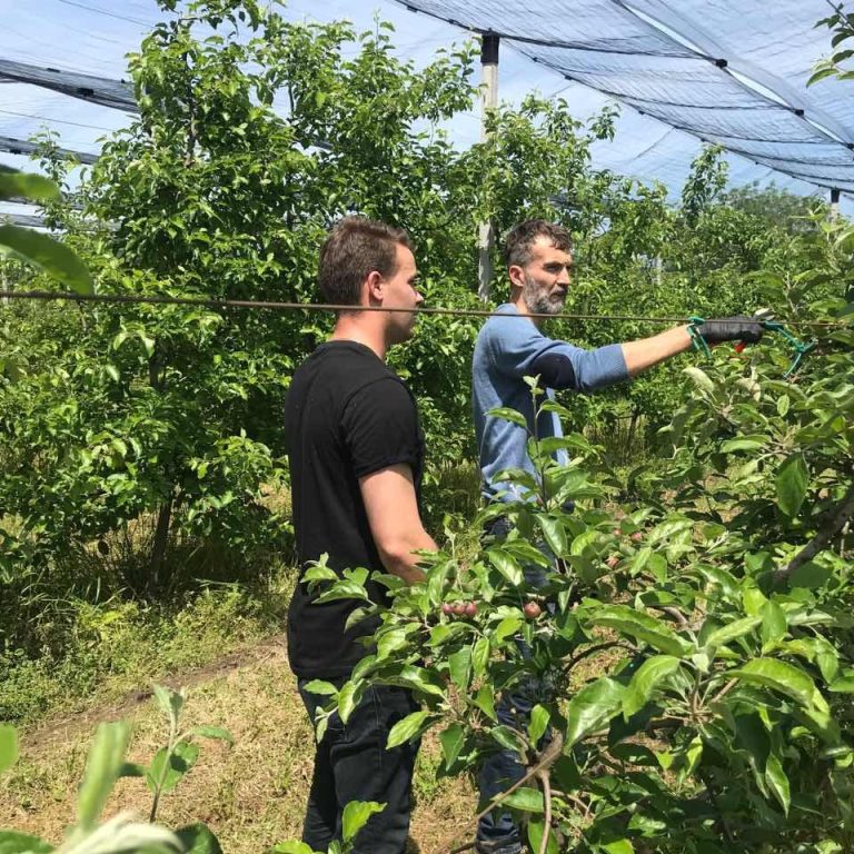 Iuvenes sesta edukacija