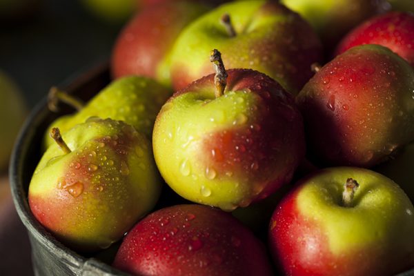 Raw Organic Lady Apples for the Holidays