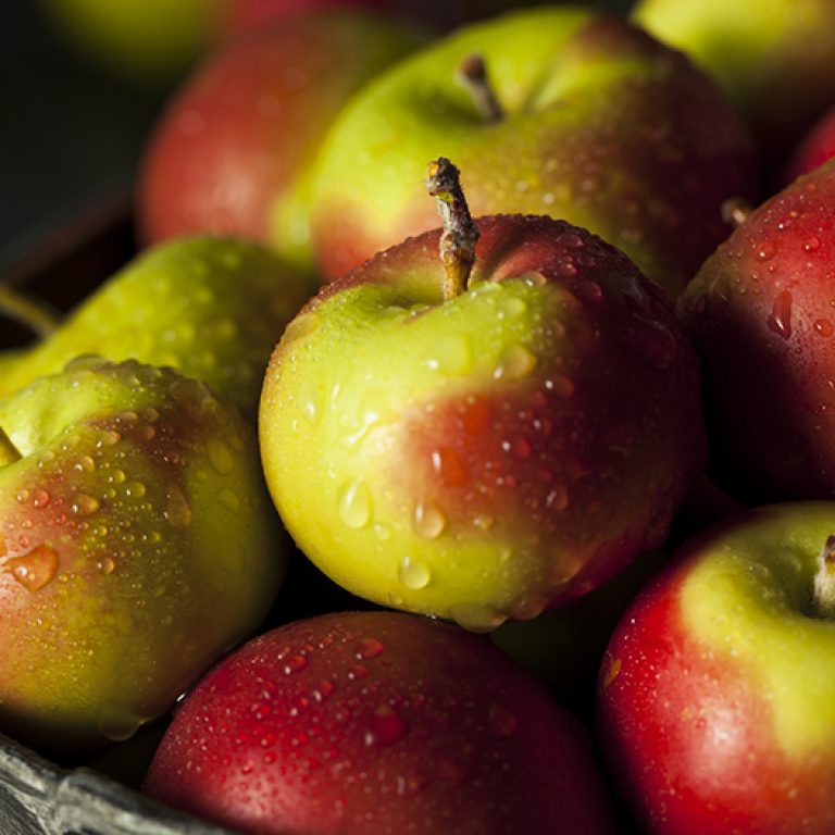 Raw Organic Lady Apples for the Holidays