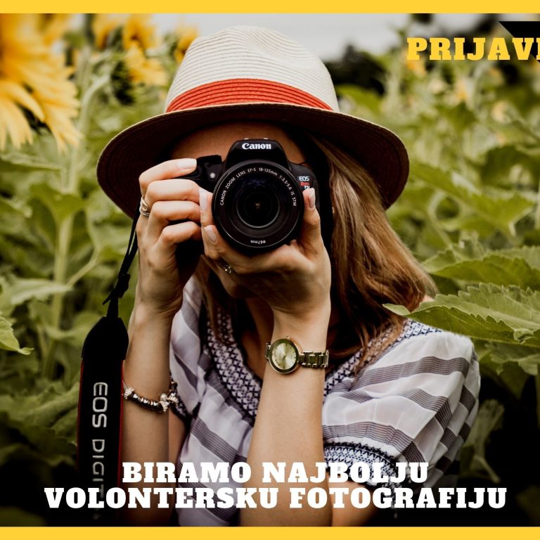 Yellow Bordered Photo Photography Trifold Brochure 5