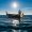 boat-5479122_960_720