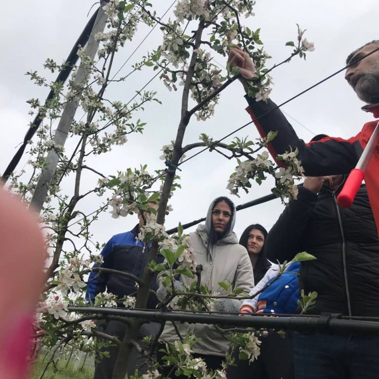 fructus nove slike s radionica 1