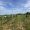 image0 (1)