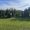 image0 (16)