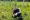 image0