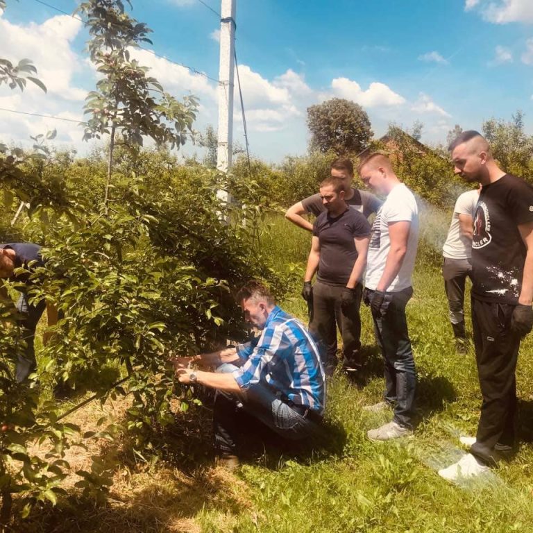 iuvenes osmo predavanje