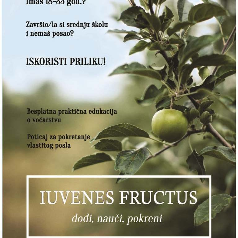 juvenes_fruct5usprojekti