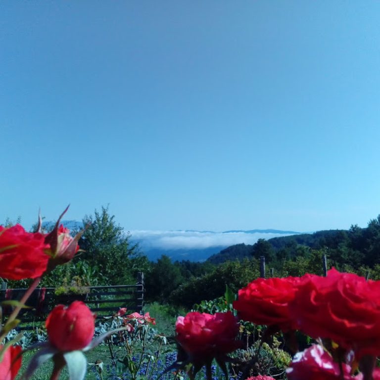 pogled Milici selo sunce