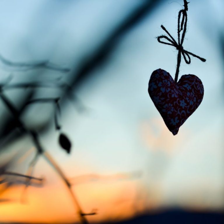 shutterstock 366025583 1024x678